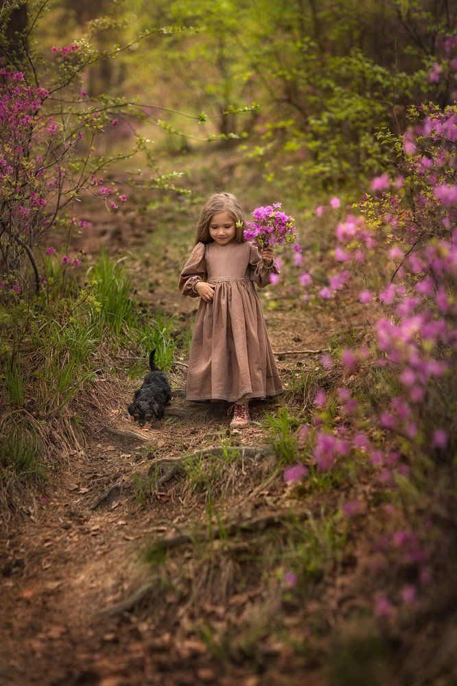 Лесная сказка