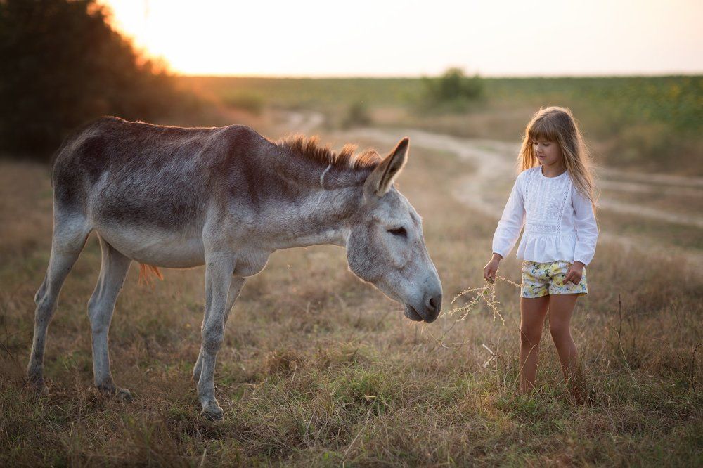 Photograph by Наталья Бурнина