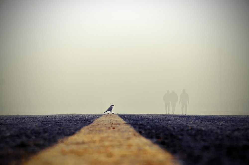 In the middle of it all