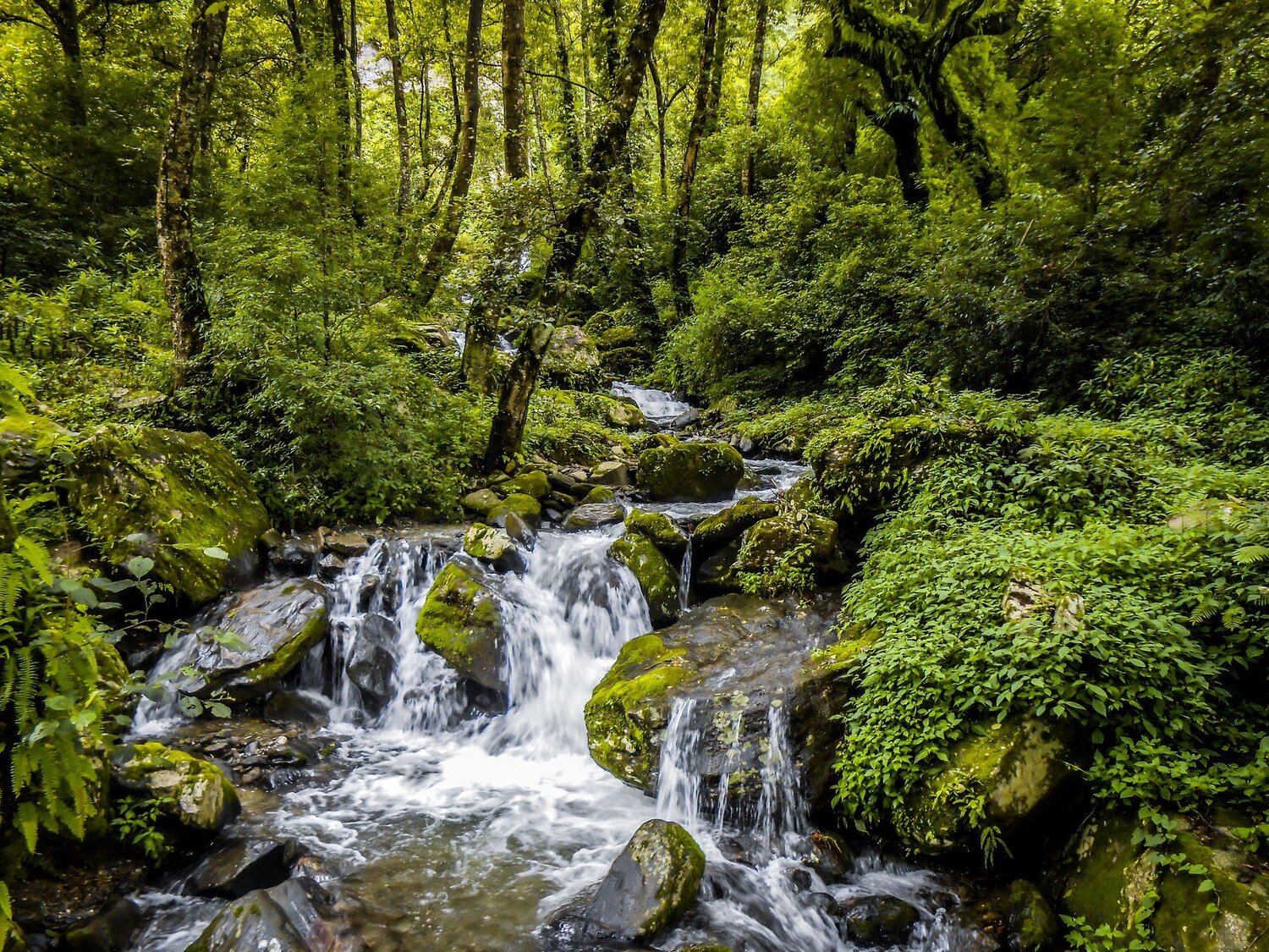 waterfall