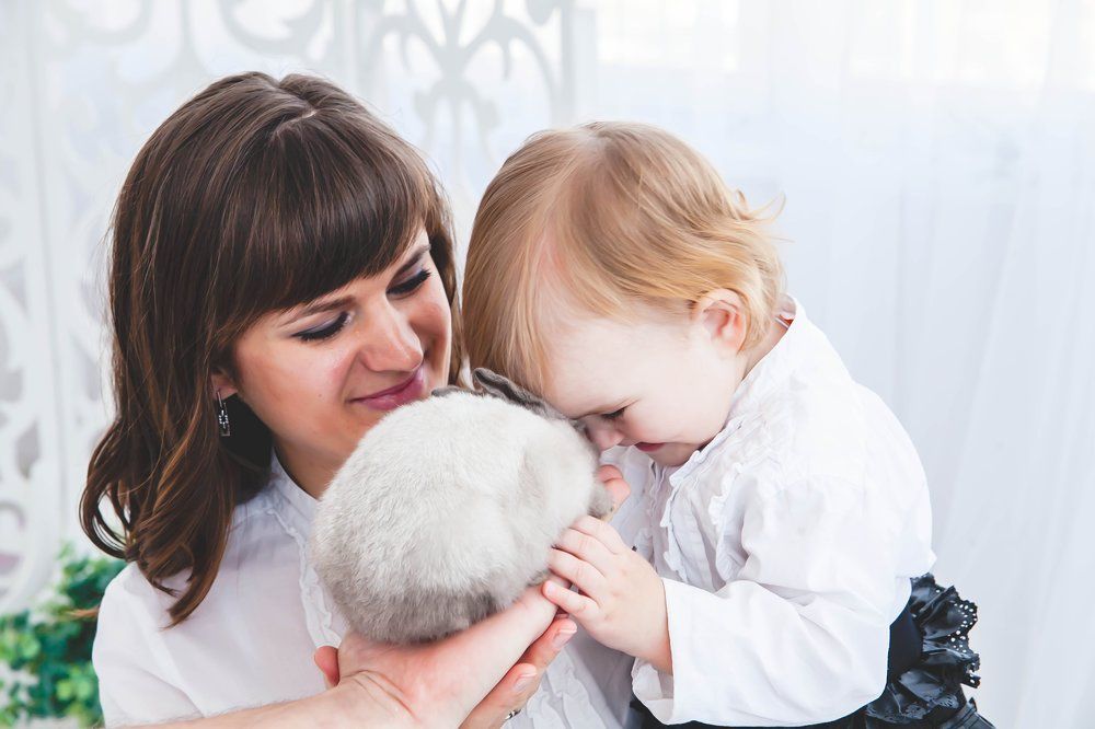 Photograph by Сафонова Татьяна