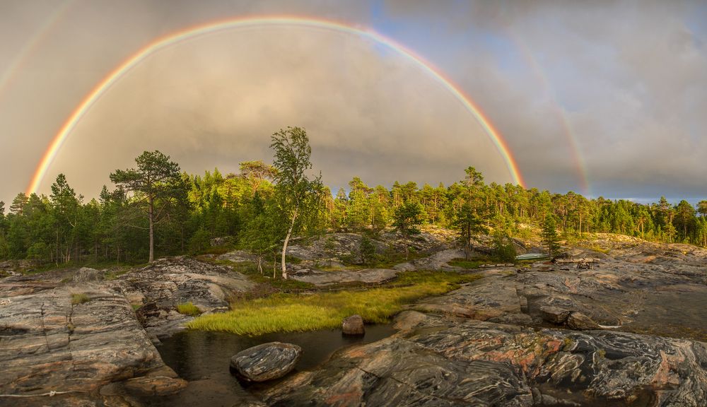 После летнего дождя.
