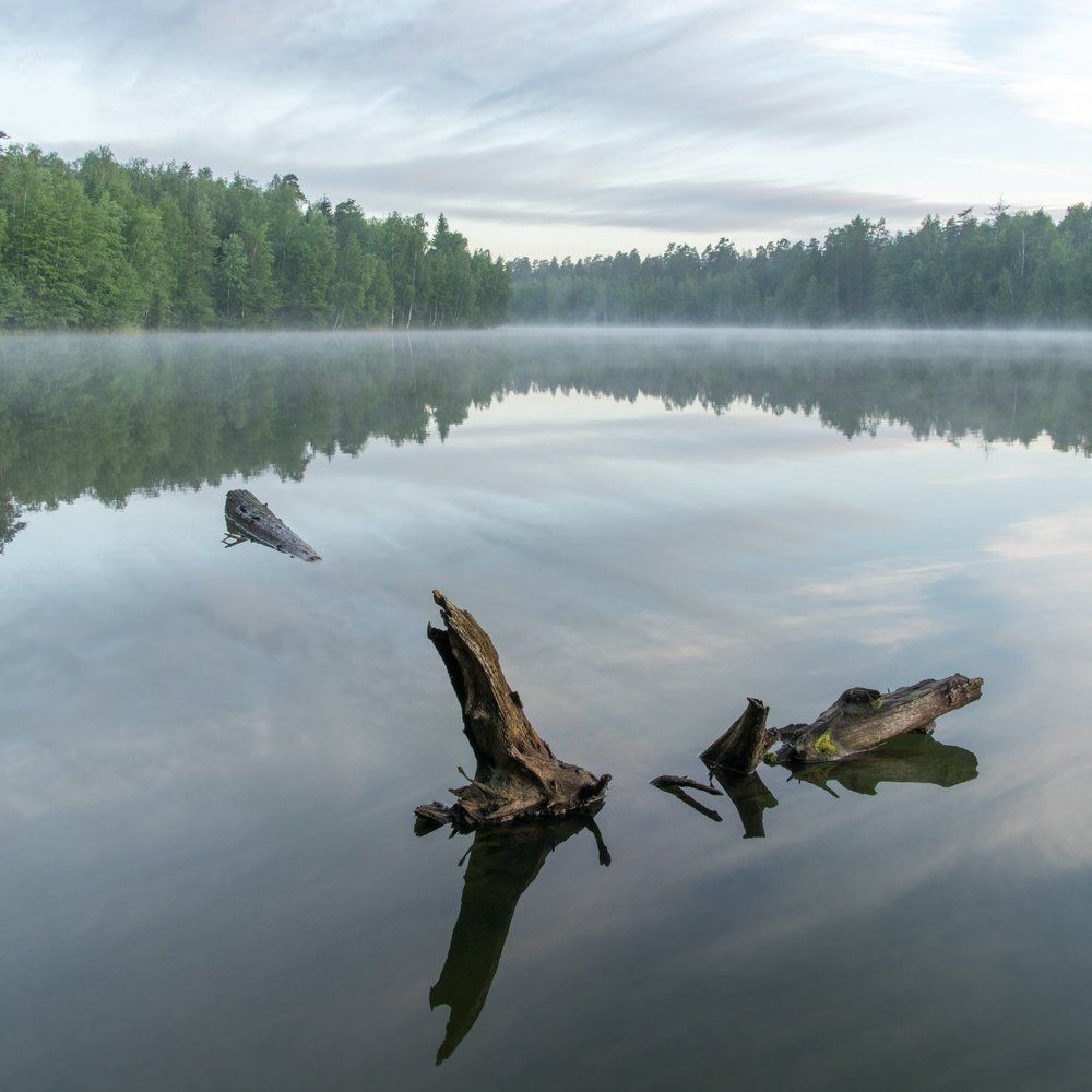 Photograph by Максим Осипов
