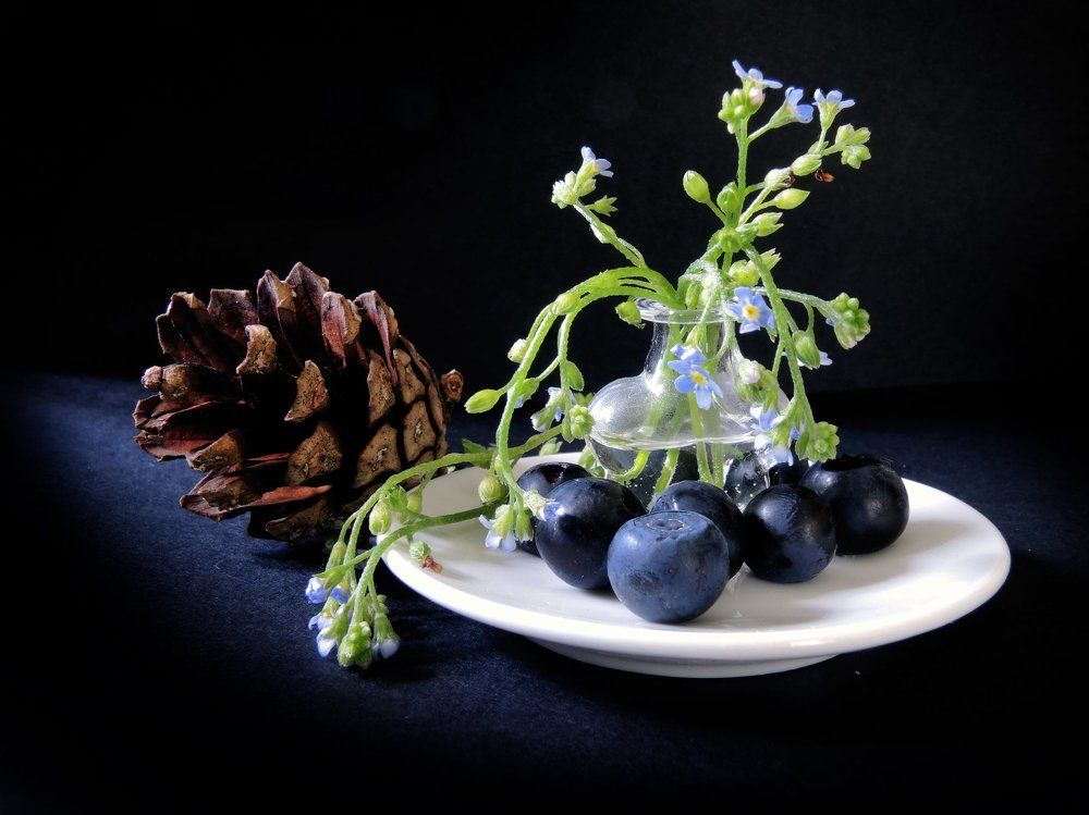 Макро-композиция с голубыми цветами, черникой и сосновой шишкой.