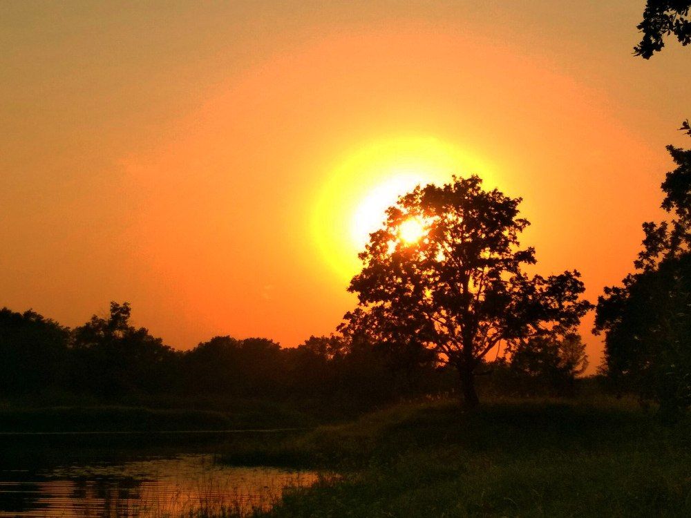 Пылающий закат