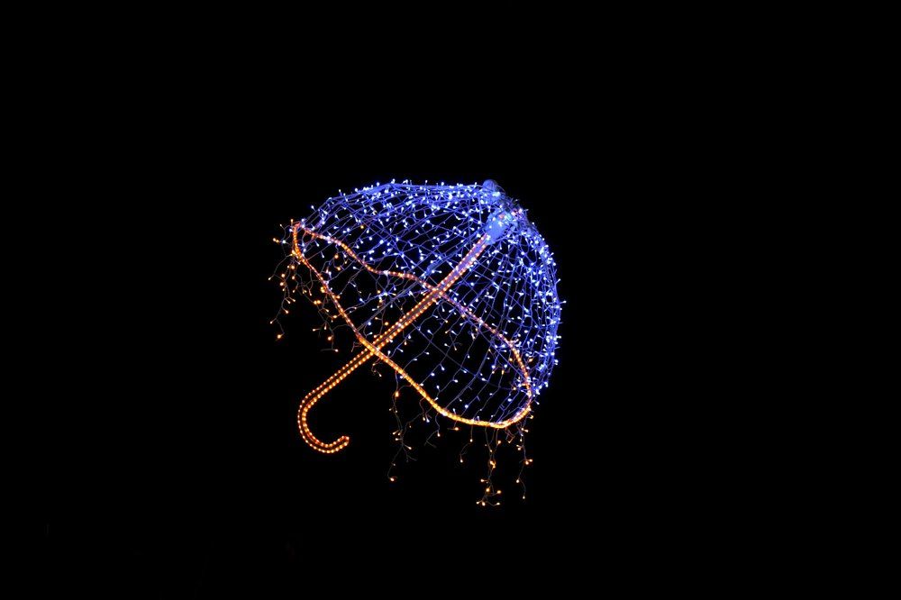 Зонт в ночи