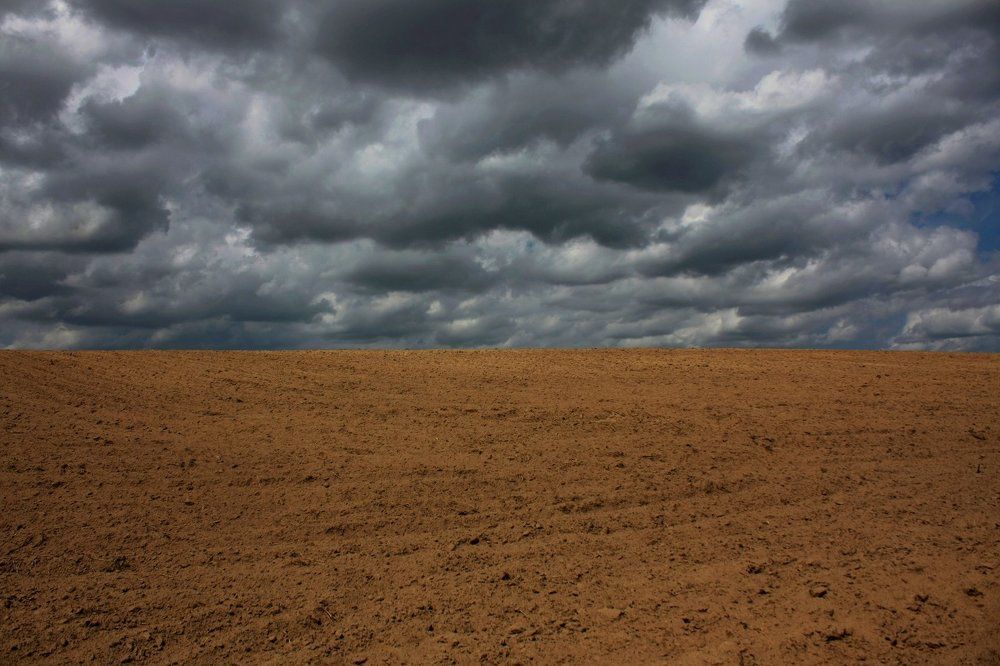 Краски природы