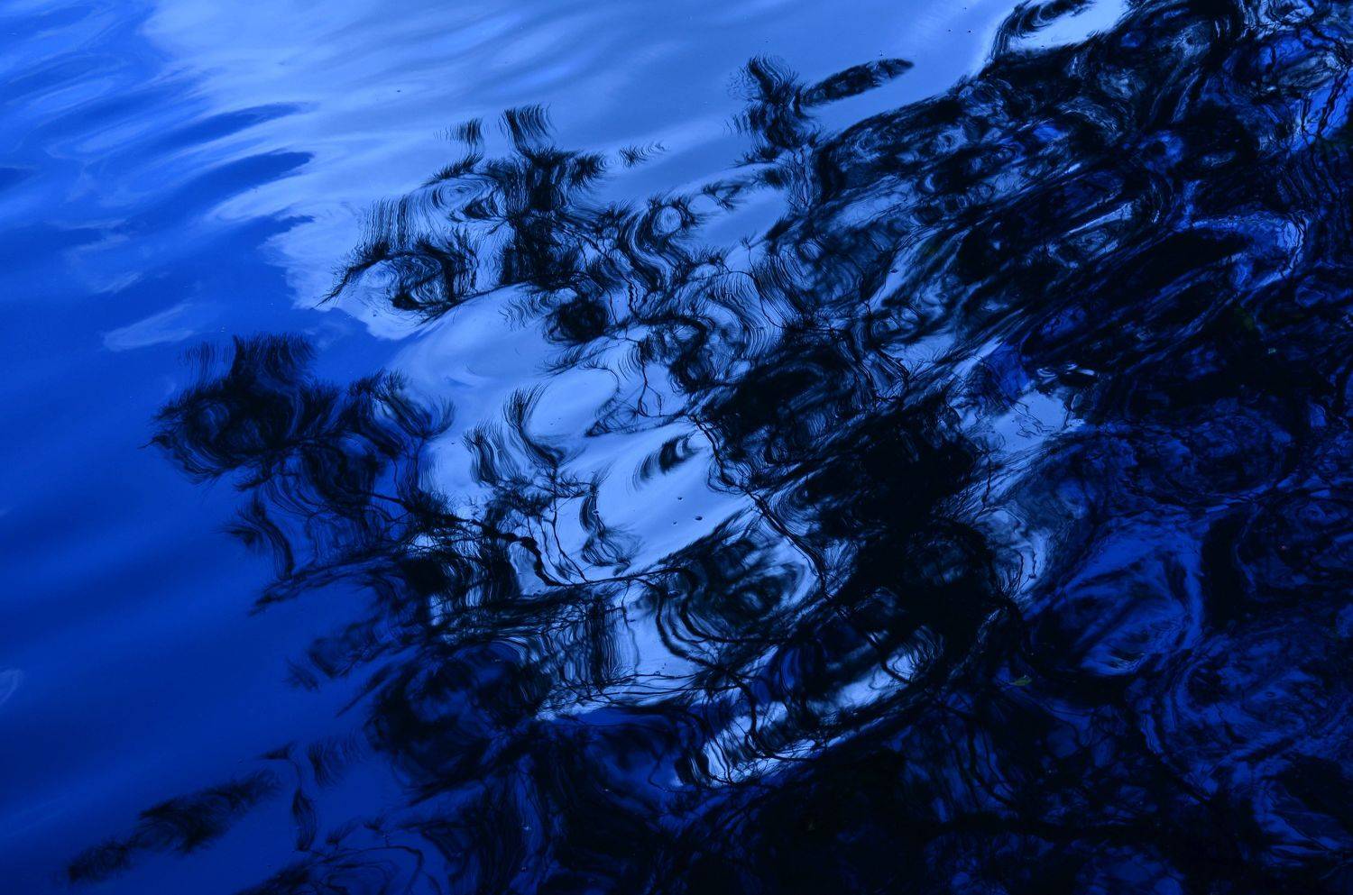 Blue hour reflection