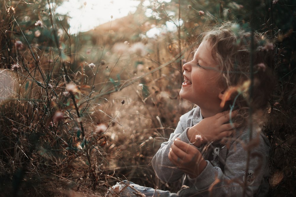 летние травы