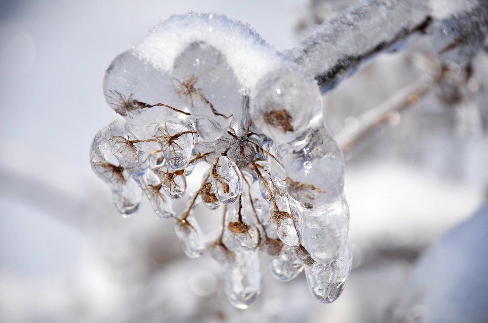 Ледниковый период