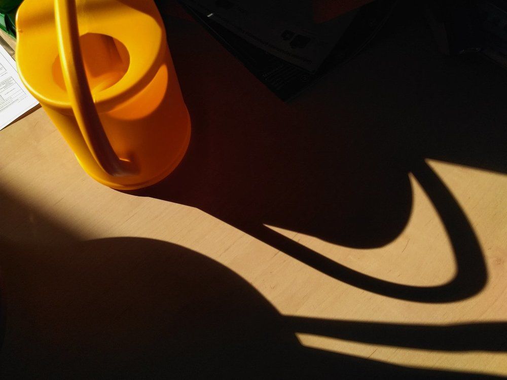 Photograph by Руслан Шарипов