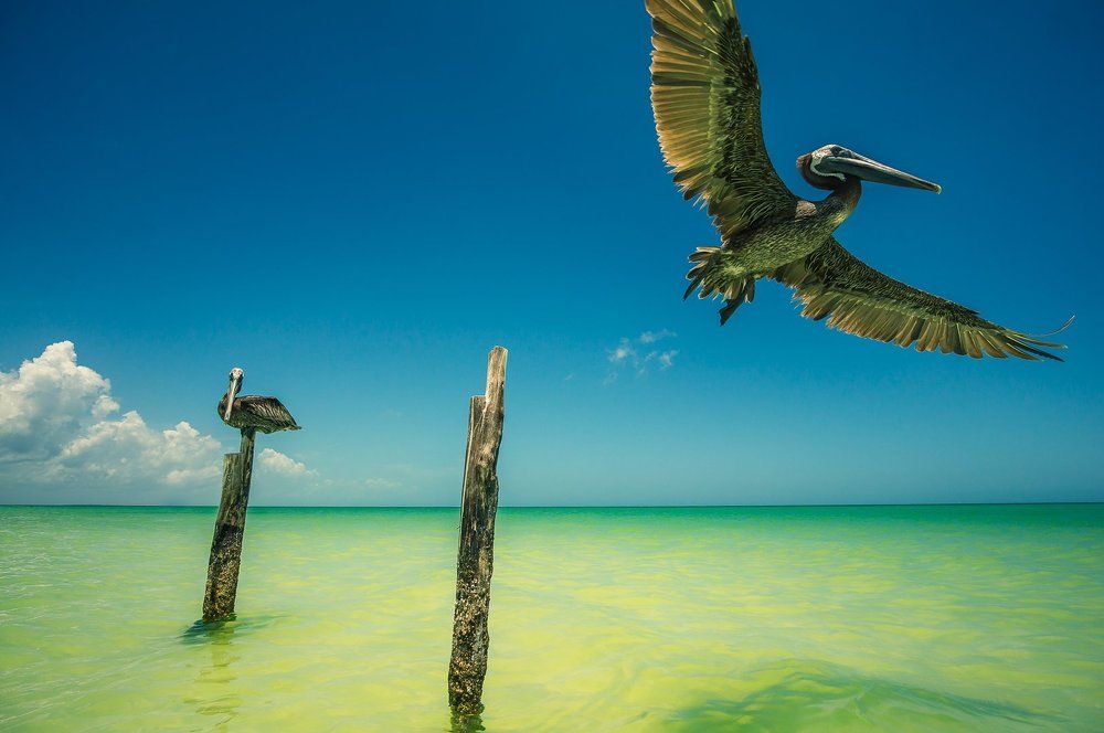 Фотография автора Андрей Хрулев