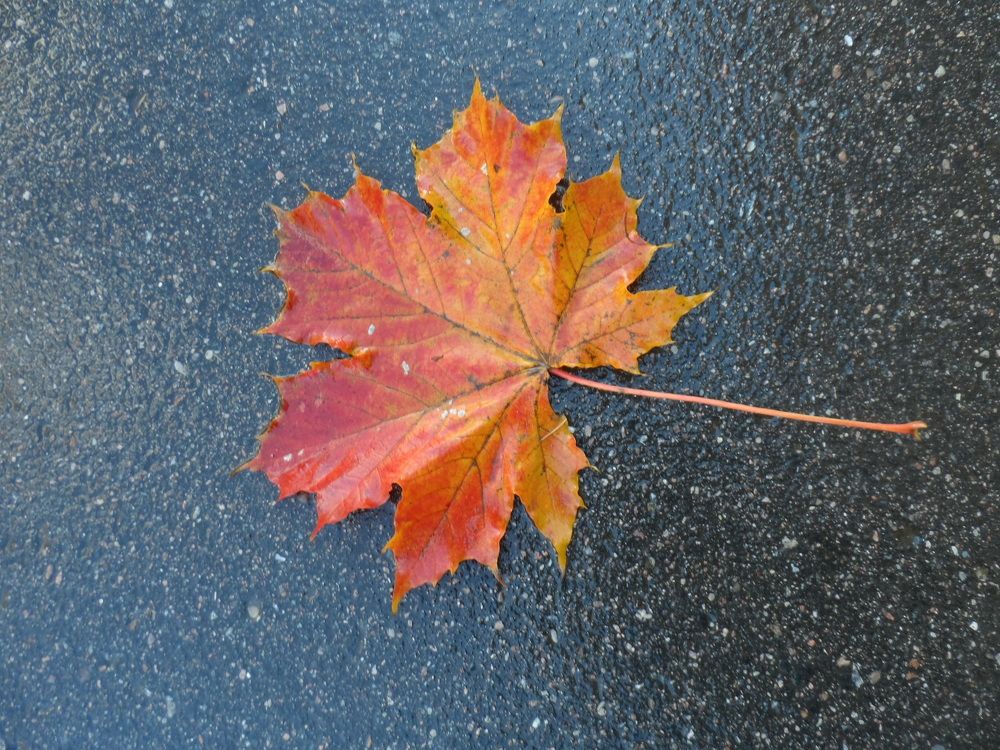 На асфальте