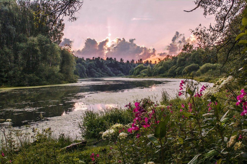Осколки лета
