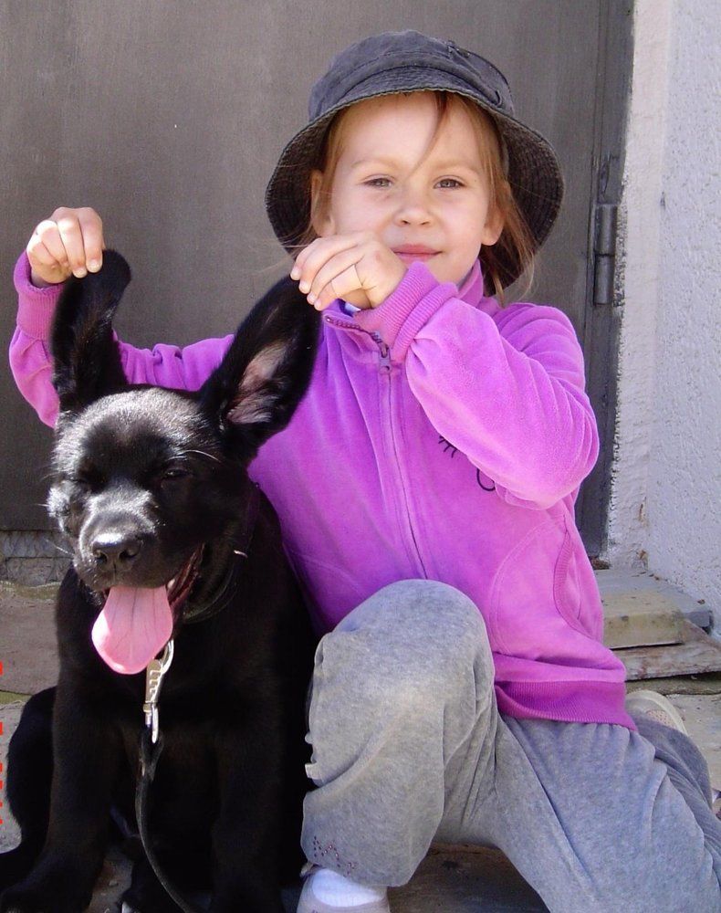 Да не заяц я!