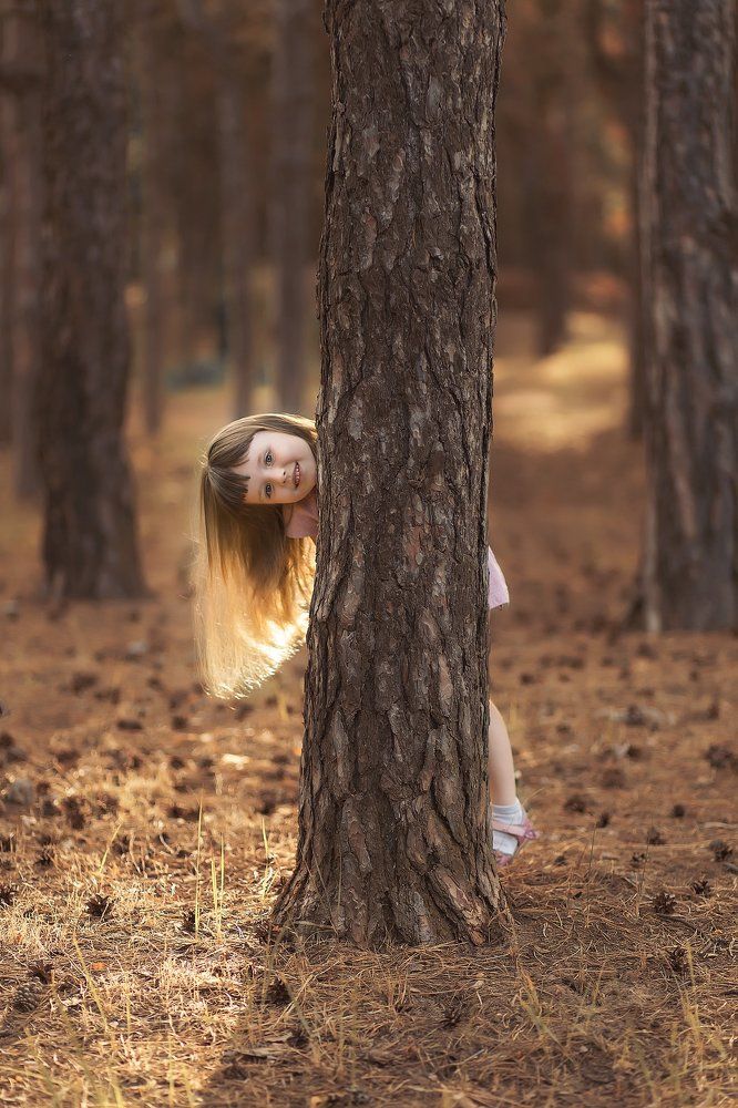 Лесное солнышко