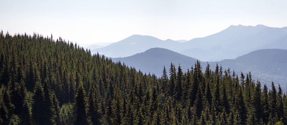 Чорногірський хребет