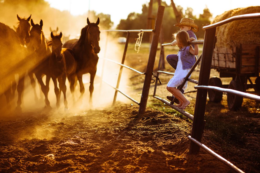 ближе к лошадям