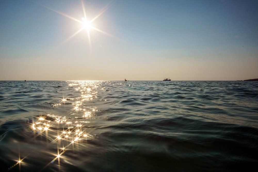 evening trembling surface