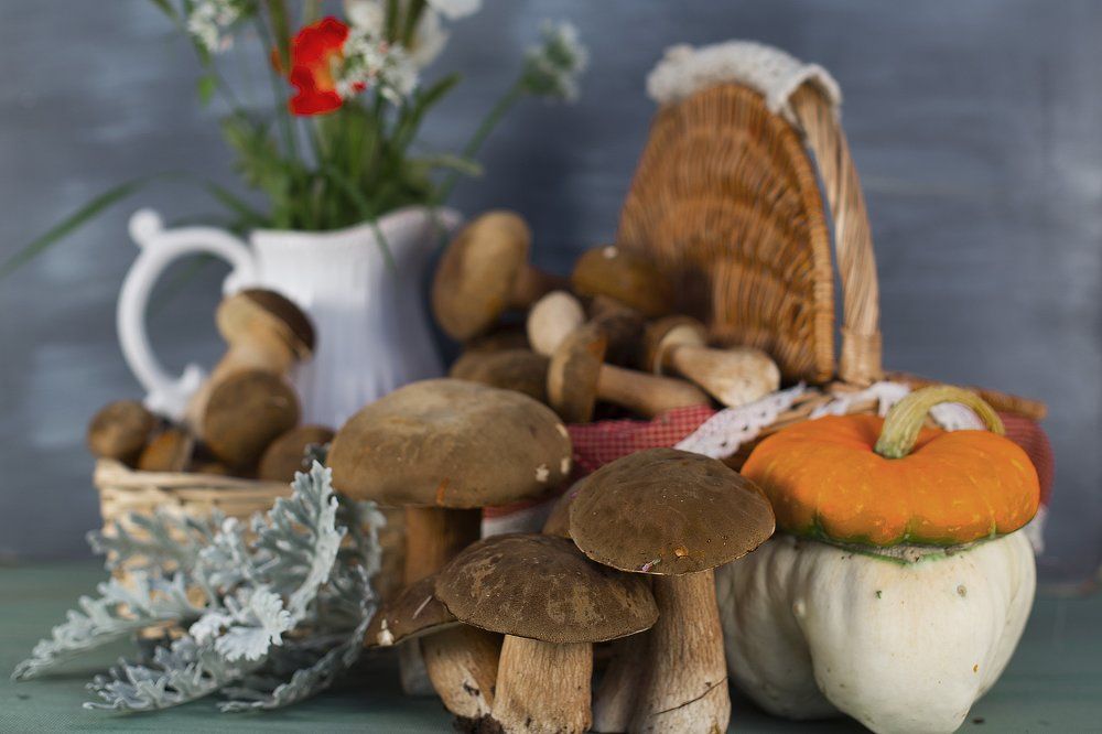 лесные трофеи