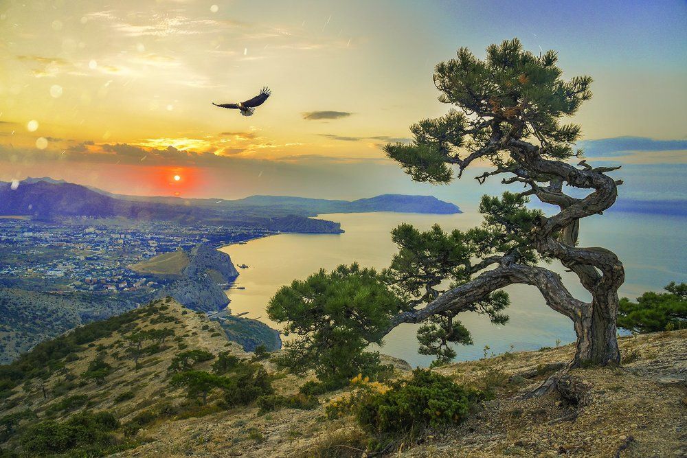 Рассвет с горы Сокол