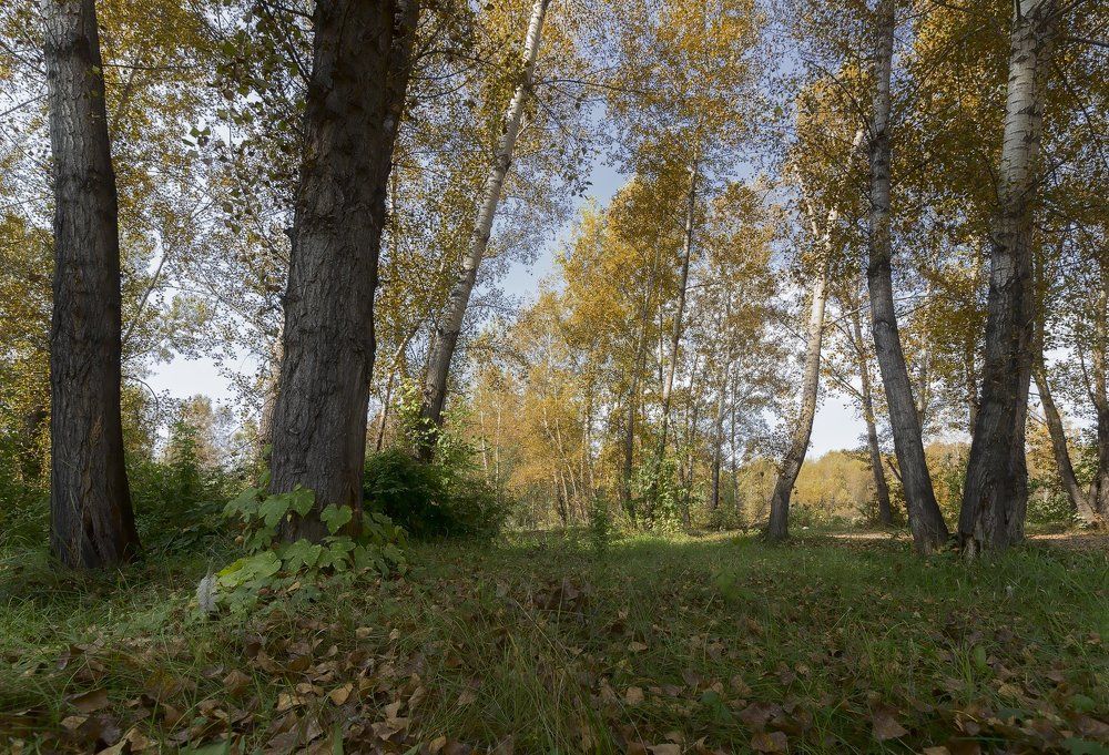 Начало осени.