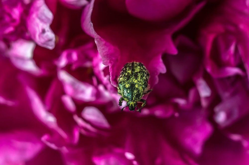 Ой, пора делать ноги