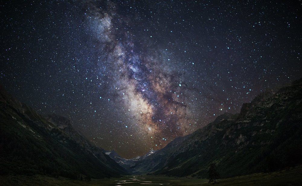 Млечный нерв.