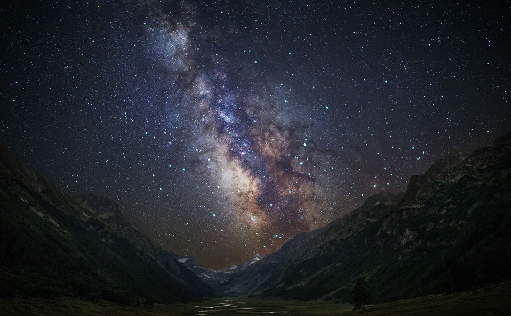 Млечный нерв