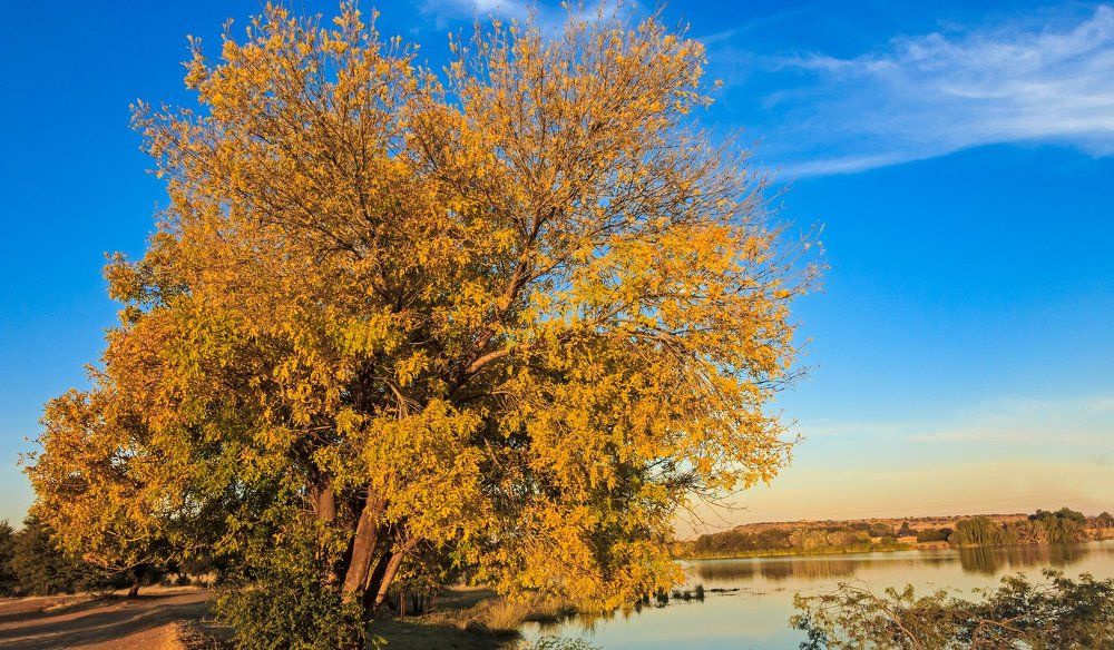 Autumn Colors.