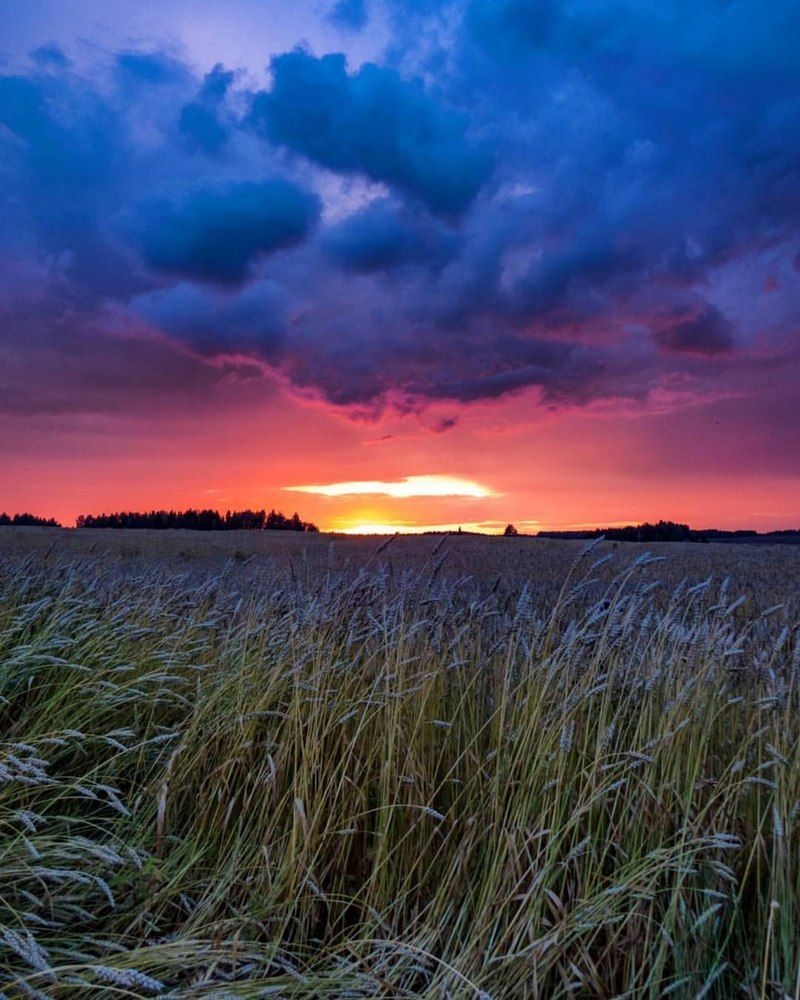 Перед дождём