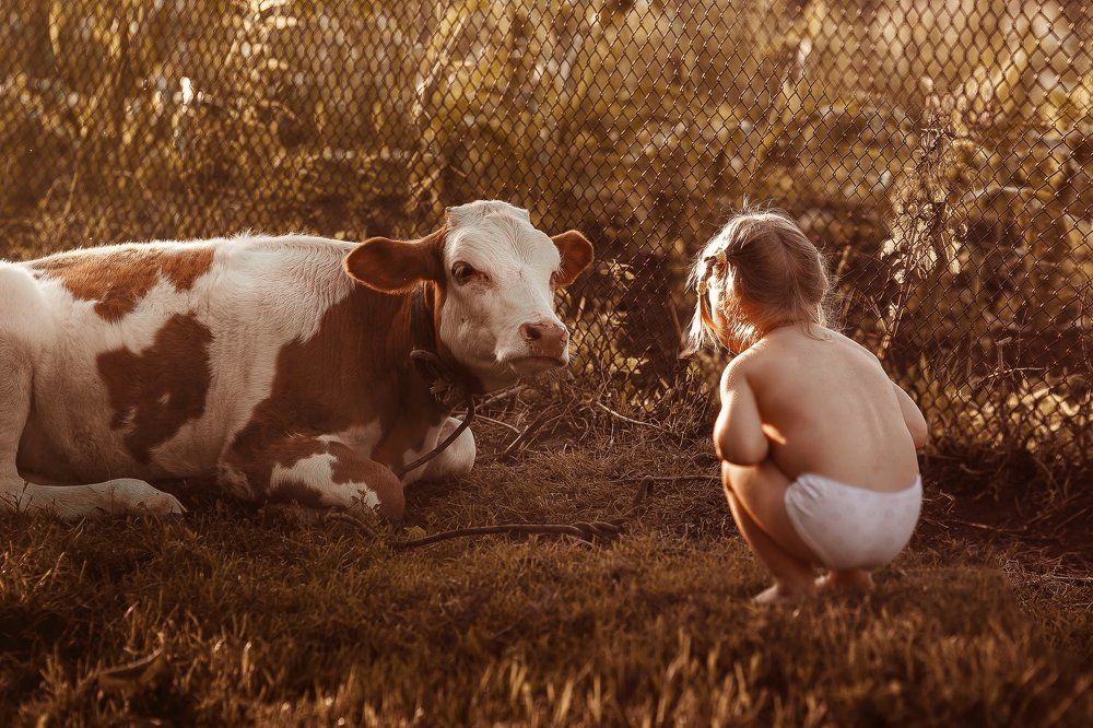 Знакомство.