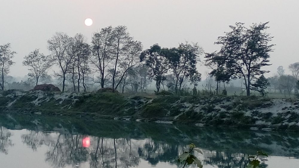 Beauty of nature