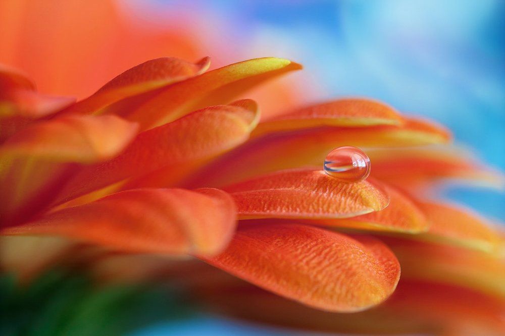 Photograph by Кабыжакова Валерия