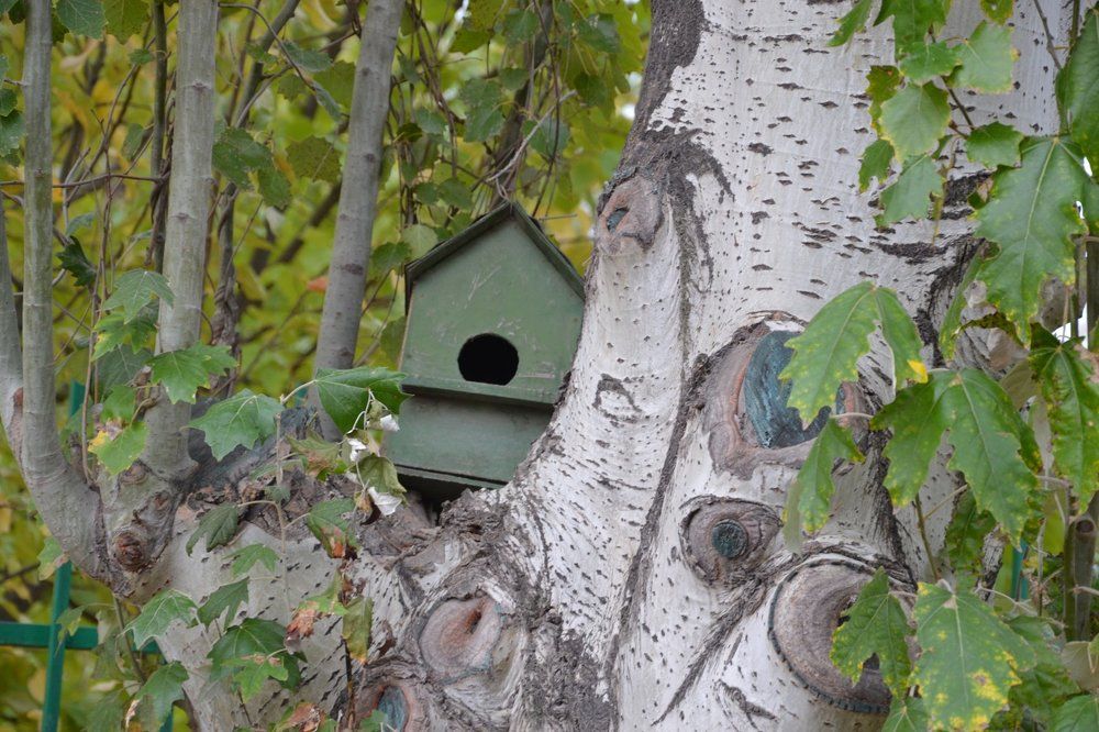 Кто-кто в теремочке живет?
