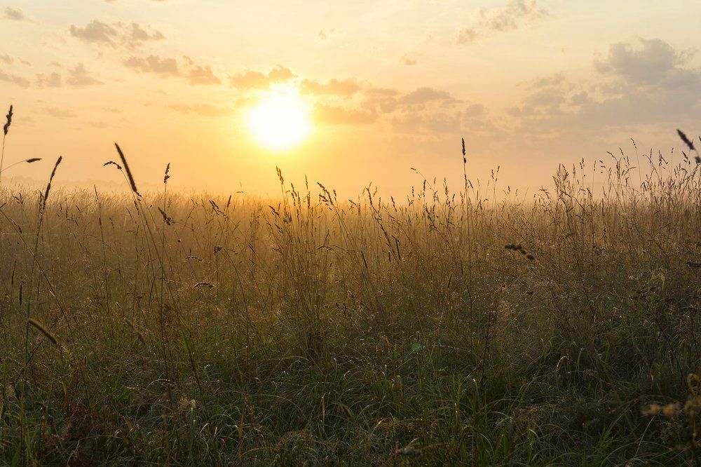 Рассветная