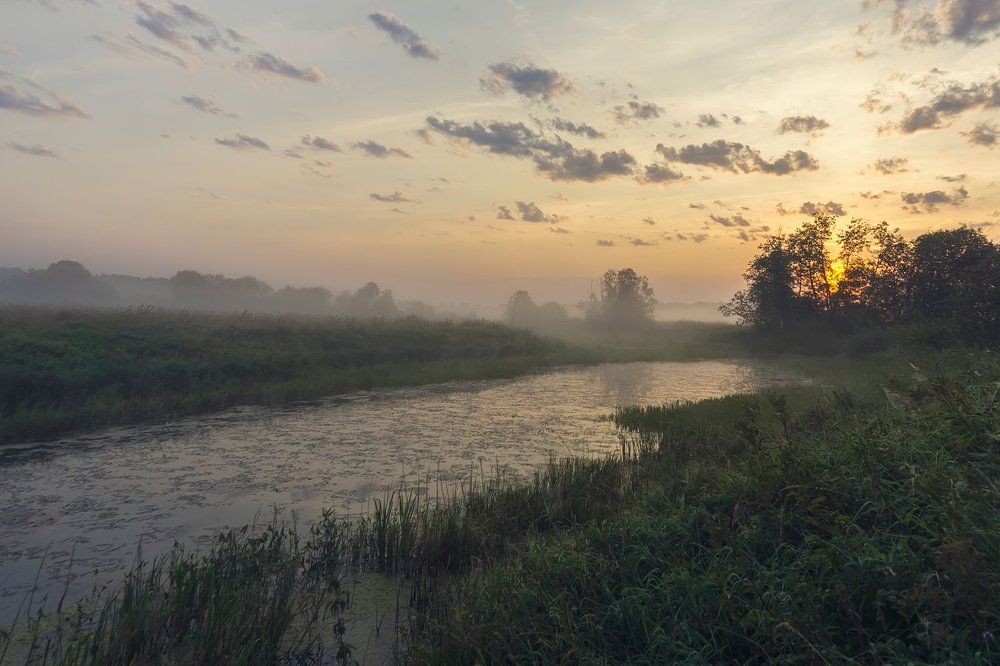 Рассветная