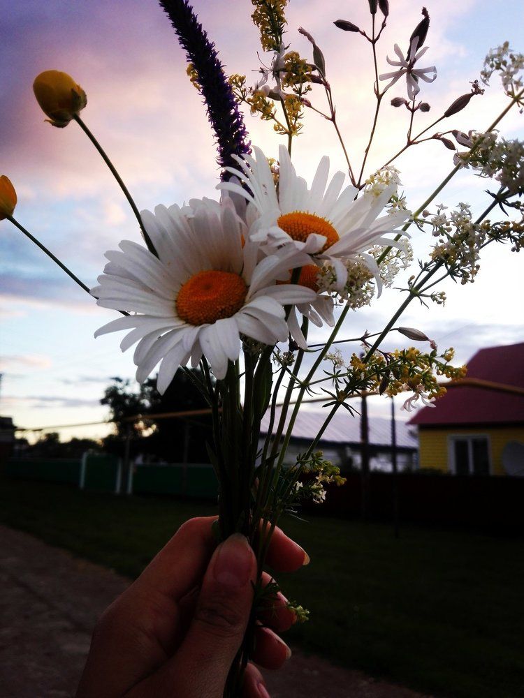 Photograph by Нургалиева Сюмбель