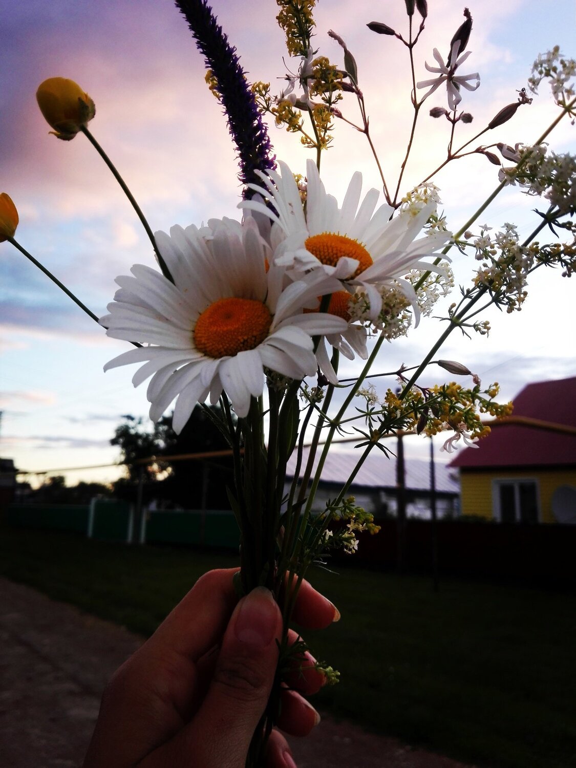 Photo #1917264