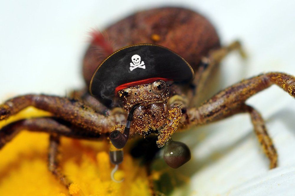 Такой маленький, а туда же...