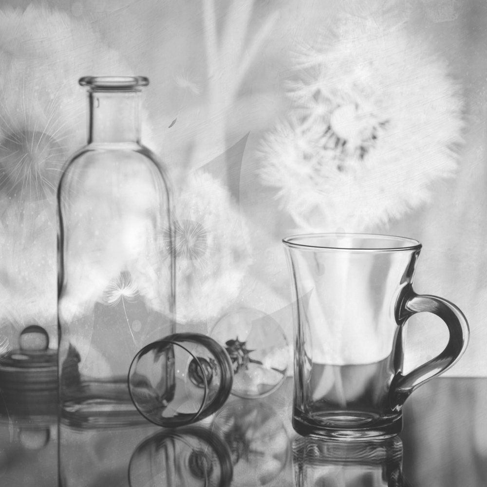 Вино из одуванчиков