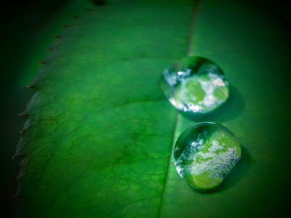 Water drops