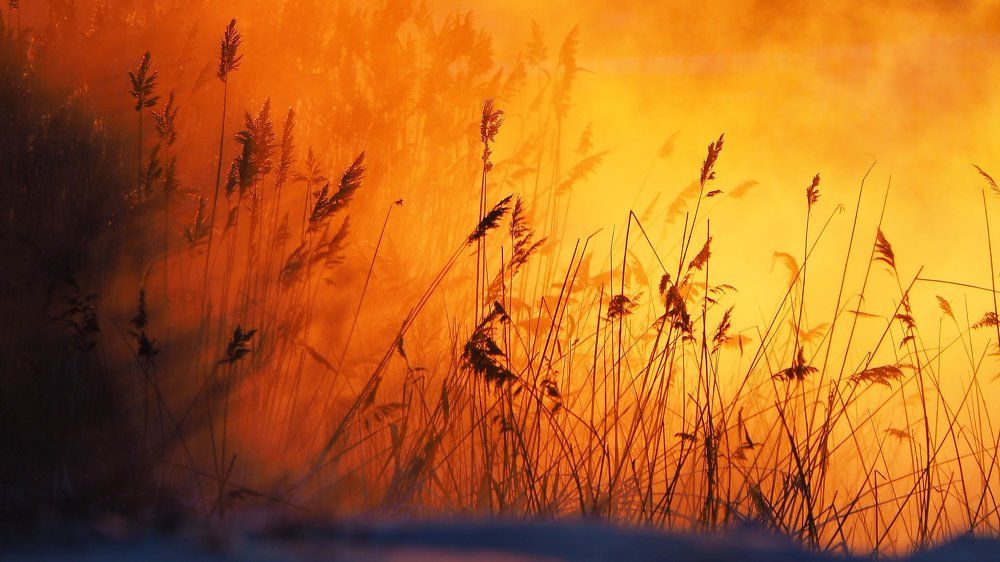 Фотография автора Александр Петаев