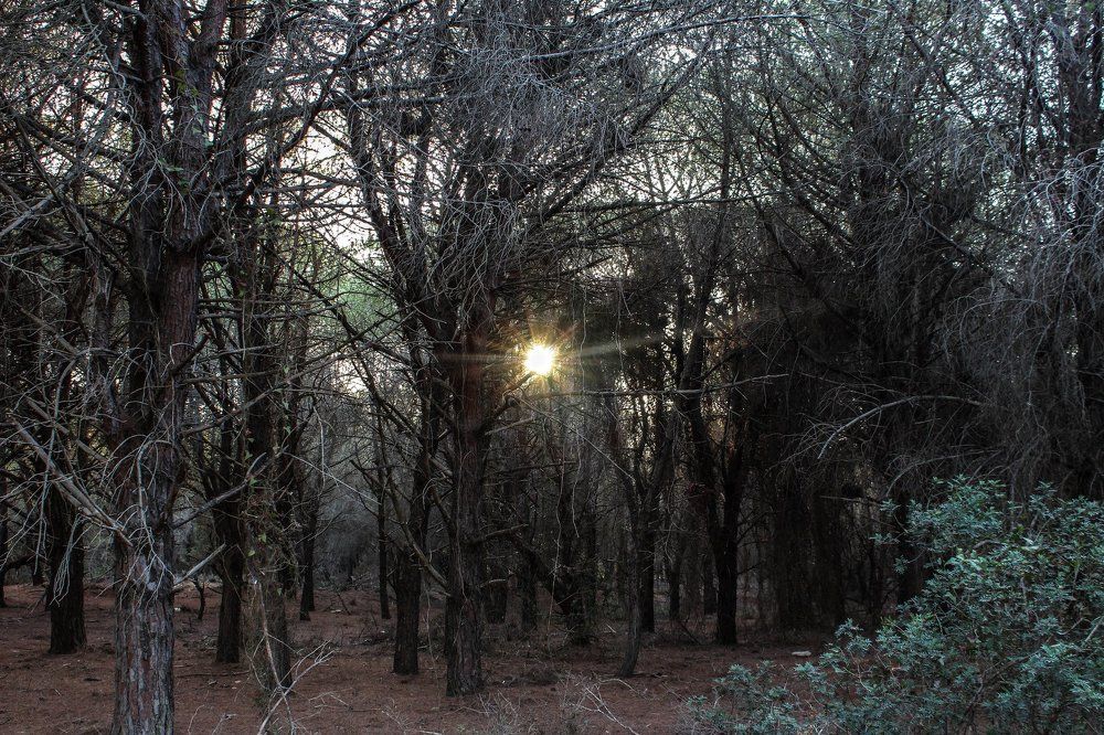 imprisoned sun
