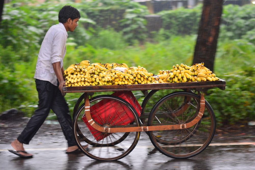 Photograph by Tessa Saneesh