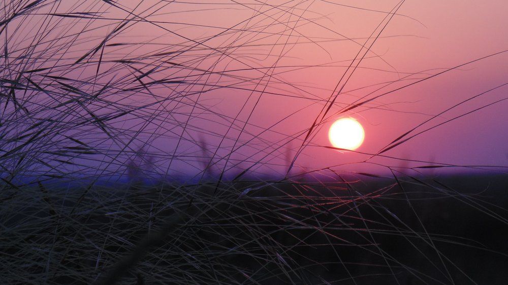 Photo #1917770