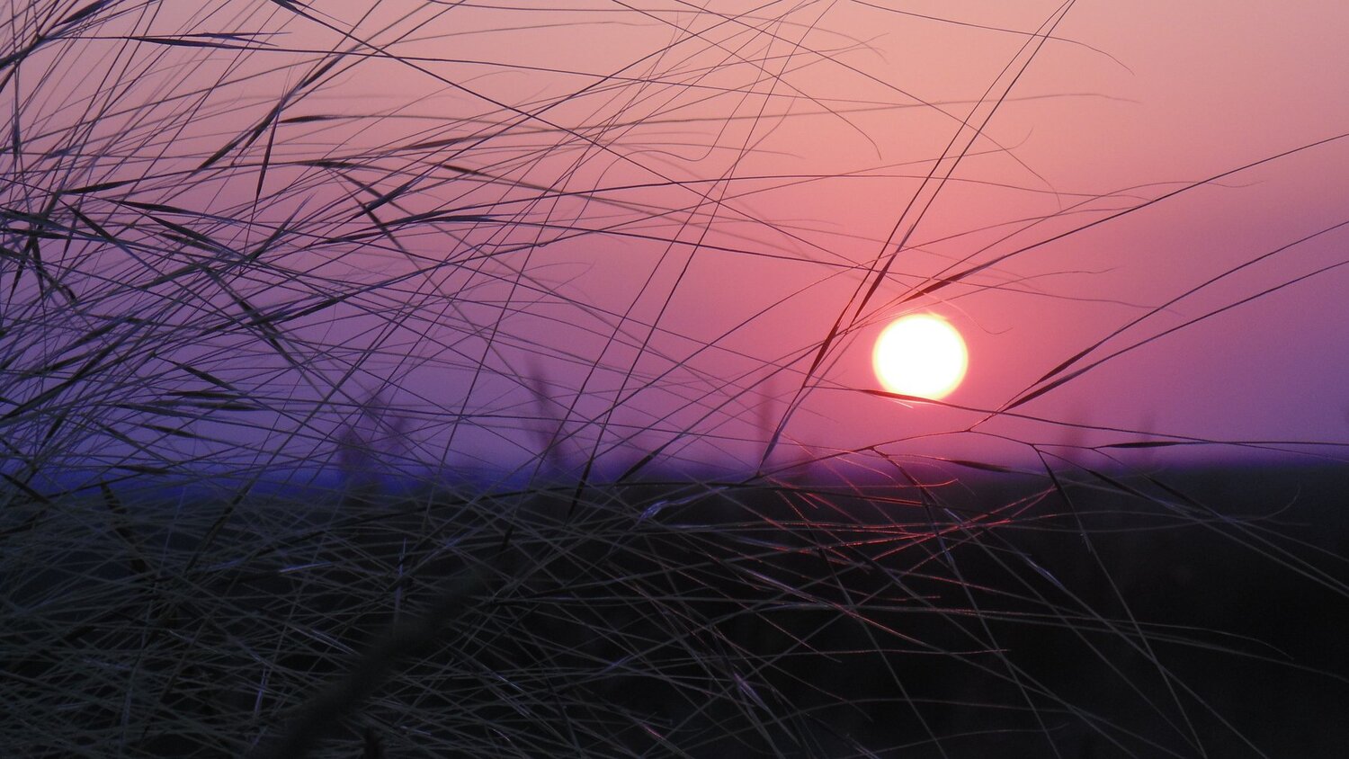 Photo #1917770