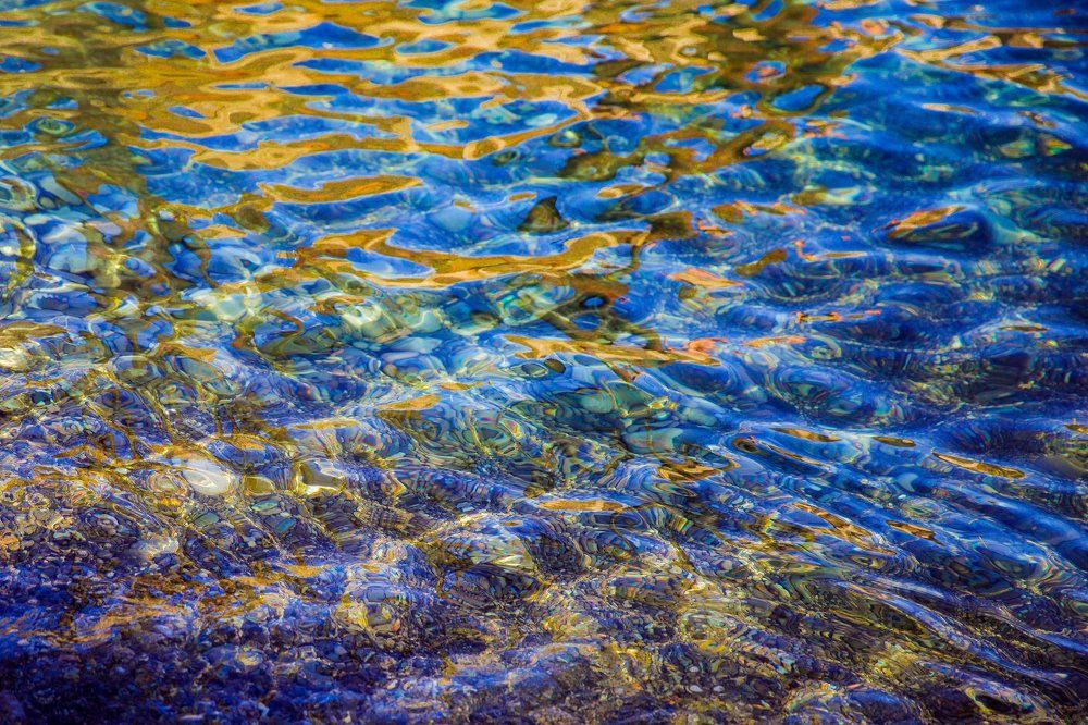 Фотография автора Анна