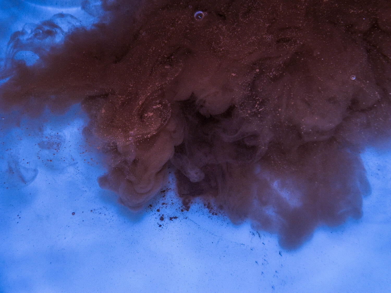 Photo #1917975