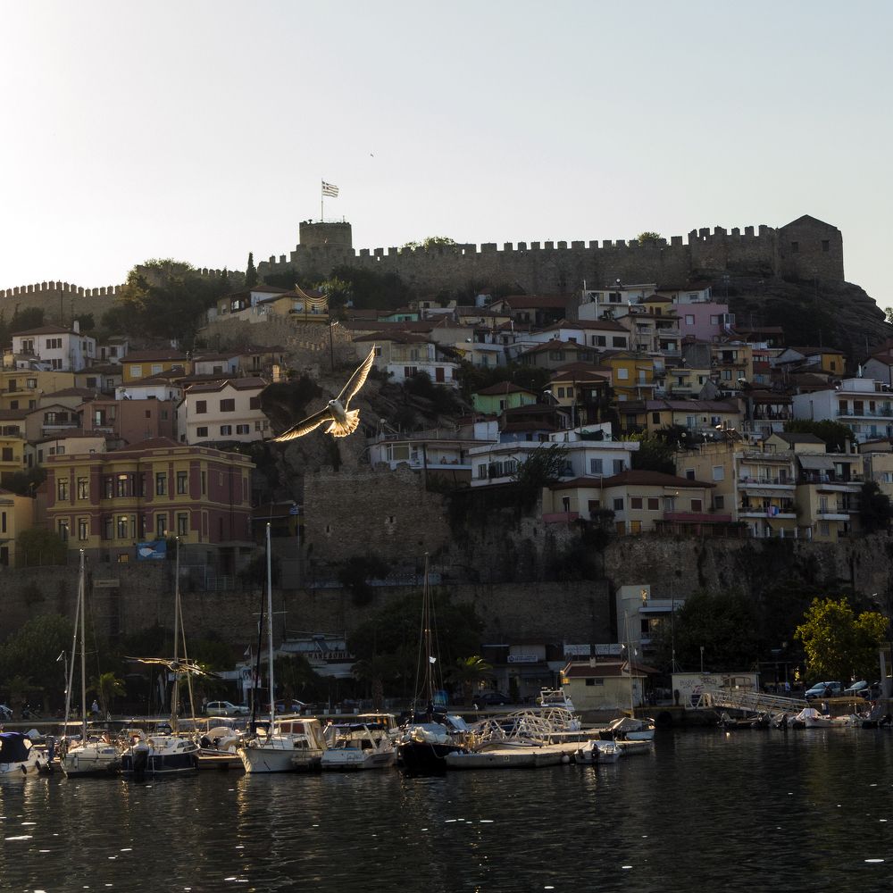 Solar Seagull  (Солнечная чайка)